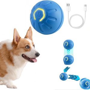 KPFIGHT Palla per Cani interattiva ricaricabile Recensione