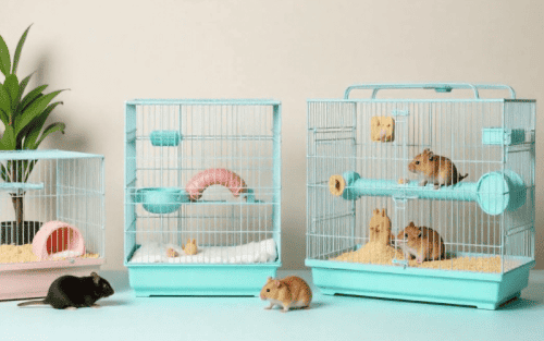 5 Migliori Gabbie Per Criceti (Top Seller)